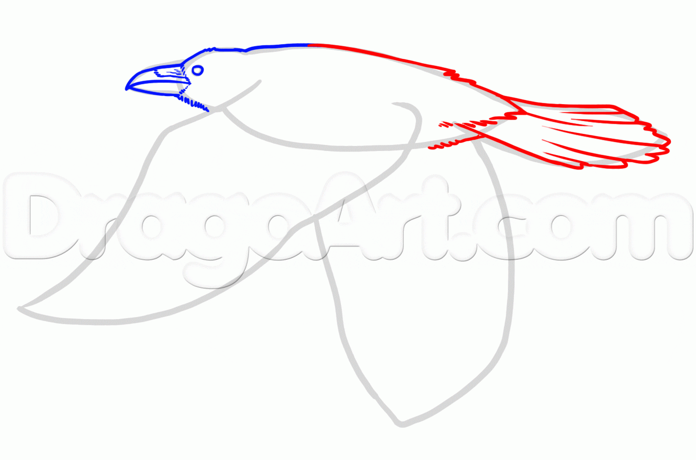 Рисунок скворца легкий - 62 фото