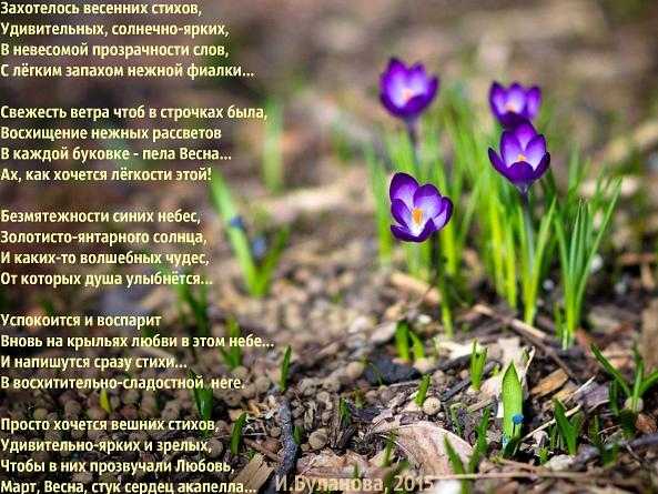 Весна стихи татарских поэтов - сборник красивых стихов в доме солнца