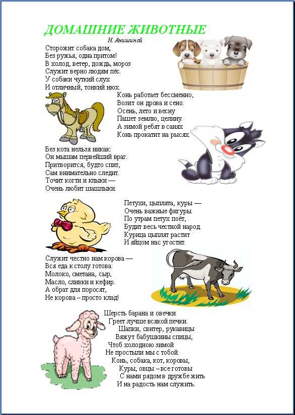 Загадки о домашних животных для детей 6-7 лет с ответами