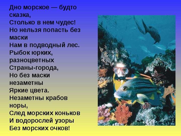 99 загадок про рыб: изучаем красивый подводный мир