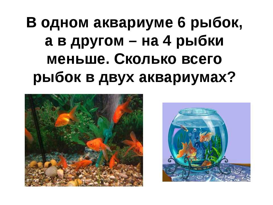 В двух аквариумах было 36 рыбок