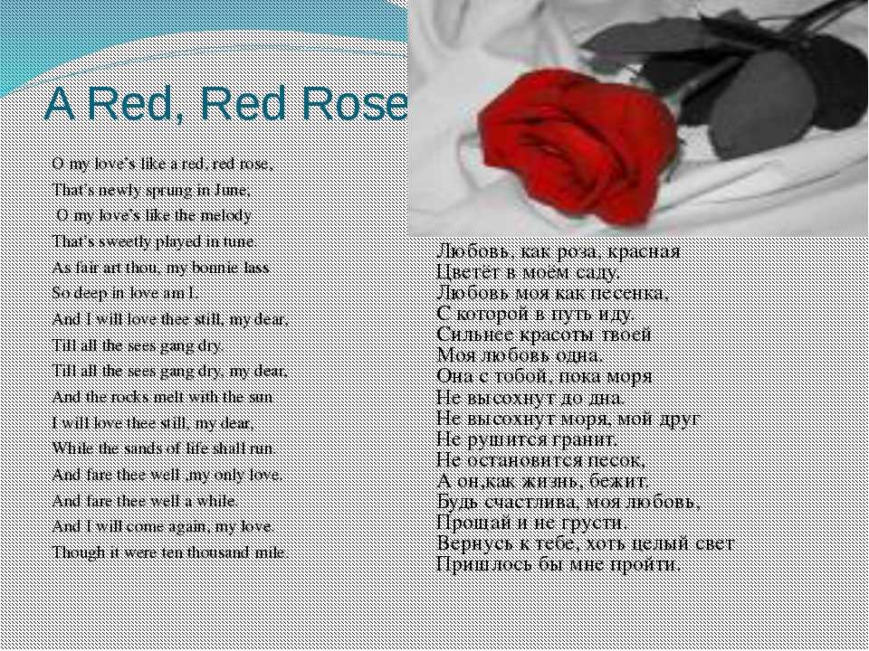 Английские стихи о красоте