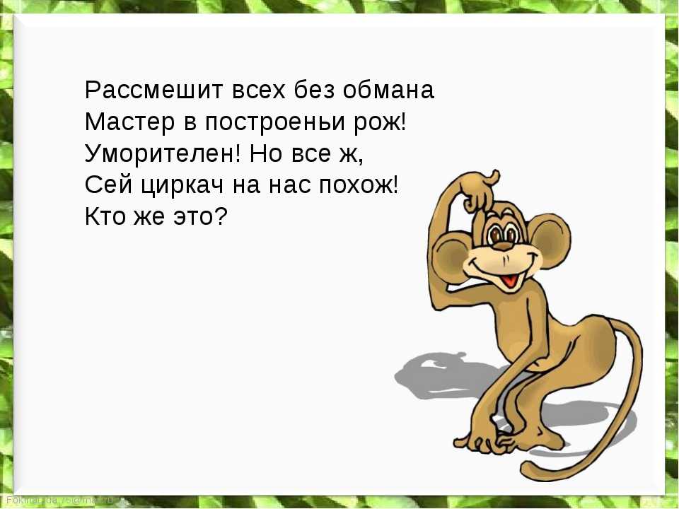 Загадки про обезьян. детский портал солнышко solnet.ee
