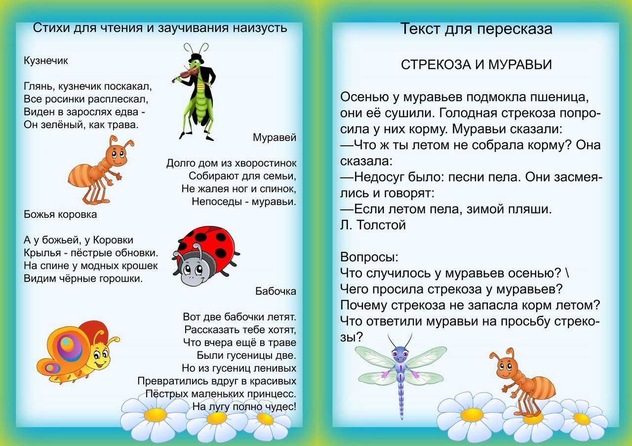 Загадки про насекомых для детей 4-5 лет с ответами | detkisemya.ru