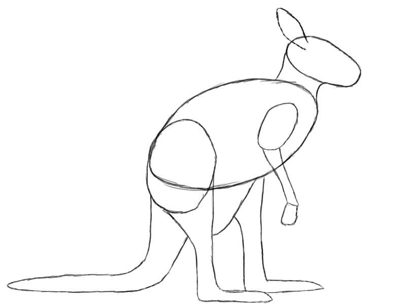 Как нарисовать тигра пошаговая инструкция для детей и взрослых, рисуем символ 2022 года