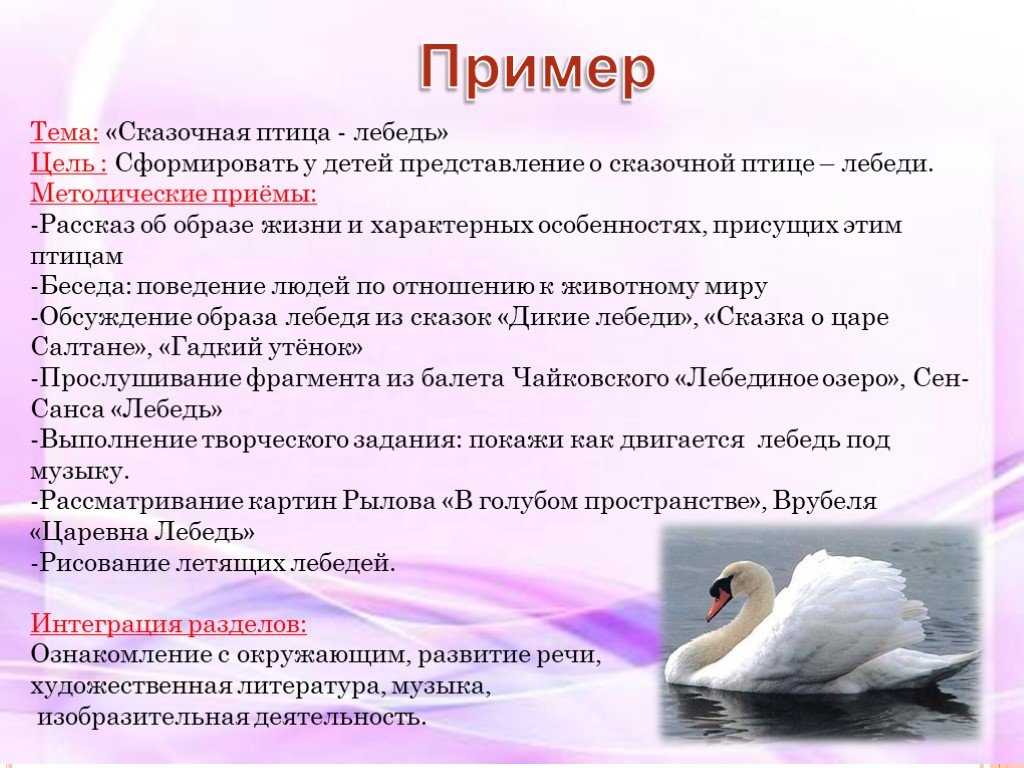 Стихи о лебединой верности. стихи про лебедей для детей
