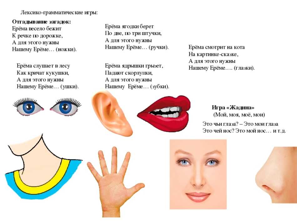 Агадки про части тела для детей: 50 лучших загадок про руки, ноги, голову, глаза, уши и нос