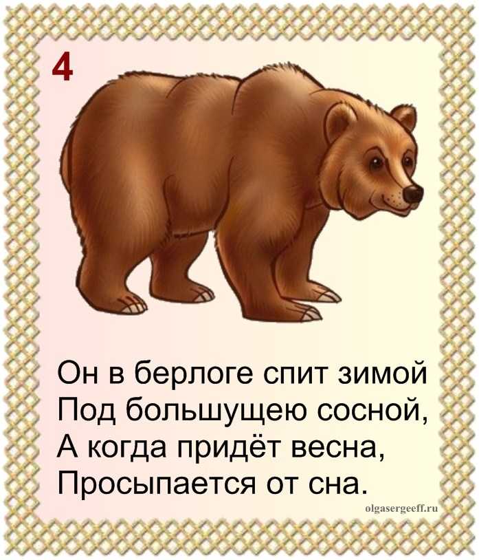 Стихи про медведя  короткие четверостишия про медведя для детей