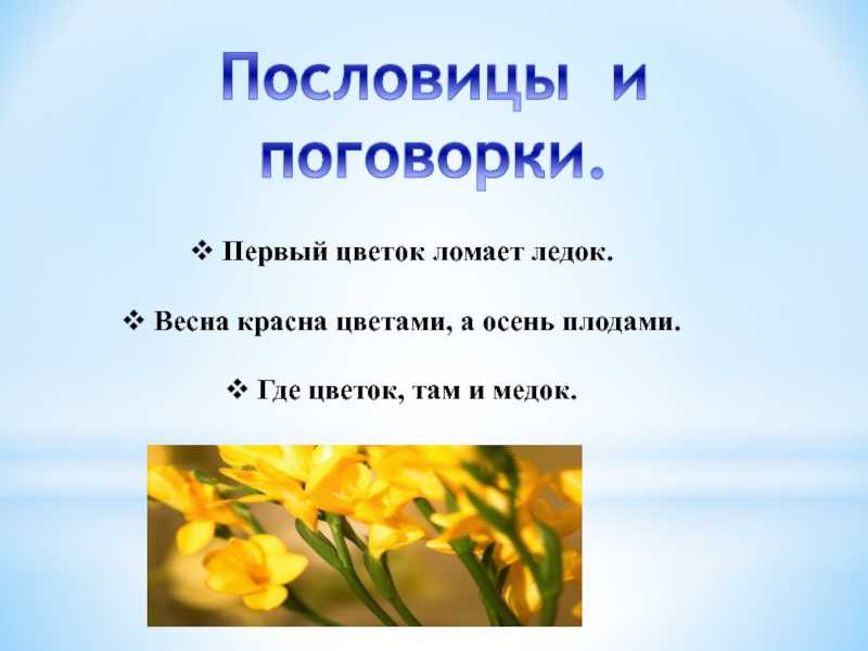 Статусы про розы цветы - clubtravelms.ru