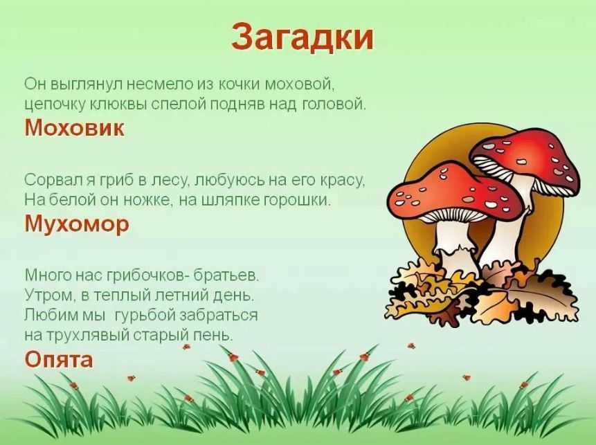 Загадки про грибы - подготовка к школе и развитие речи для детей мама7я