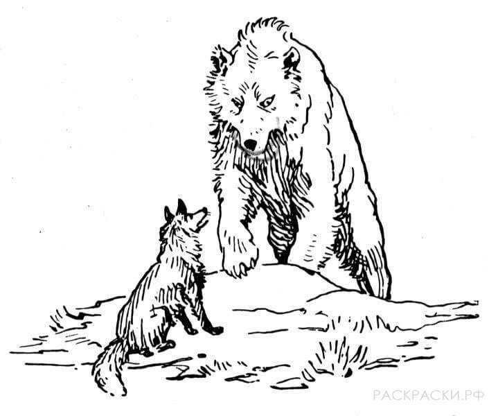 Лиса и медведь - русские сказки: читать с картинками, иллюстрациями - сказка dy9.ru