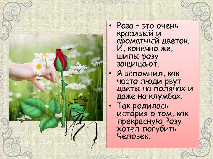 Сергей михалков — ромашка и роза: стих