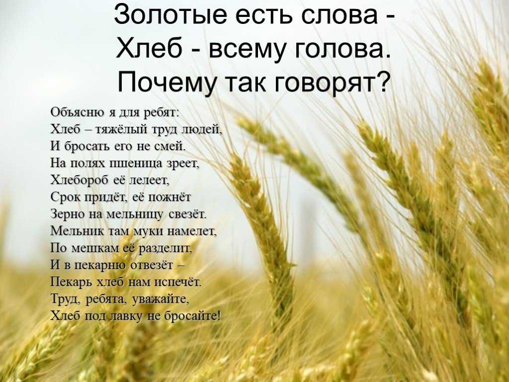 Объяснение слов жито. Стихотворение на тему хлеб. Хлеб всему голова. Стих про пшеницу. Красивый стих о хлебе.