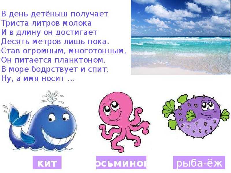 Загадки про геометрические фигуры с ответами – 60 загадок – ladyvi.ru