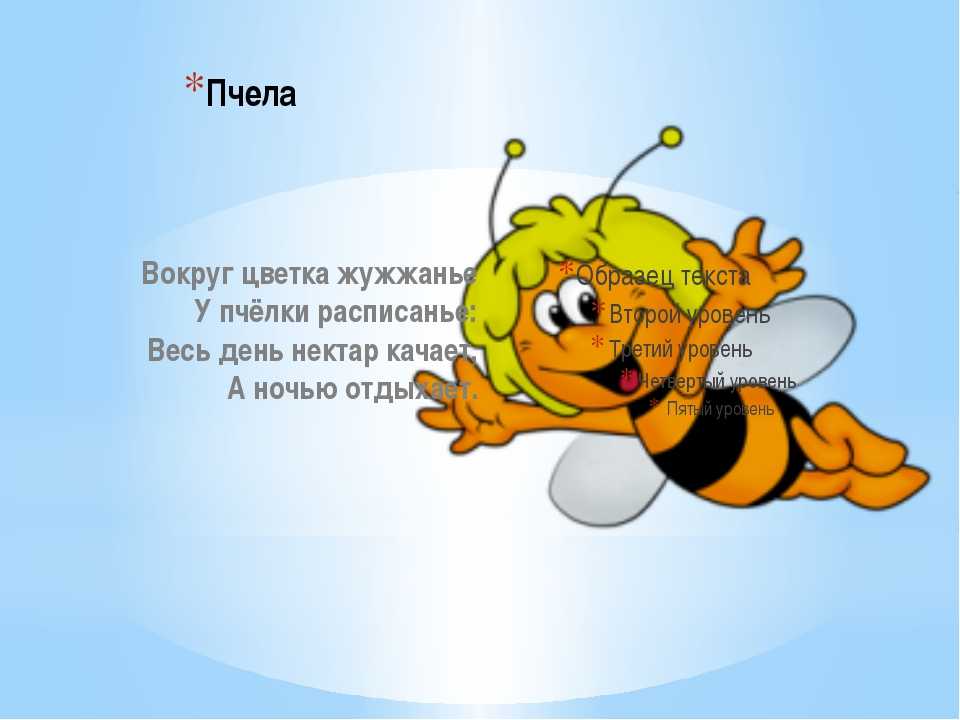 Загадки про насекомых - подготовка к школе и развитие речи для детей мама7я
