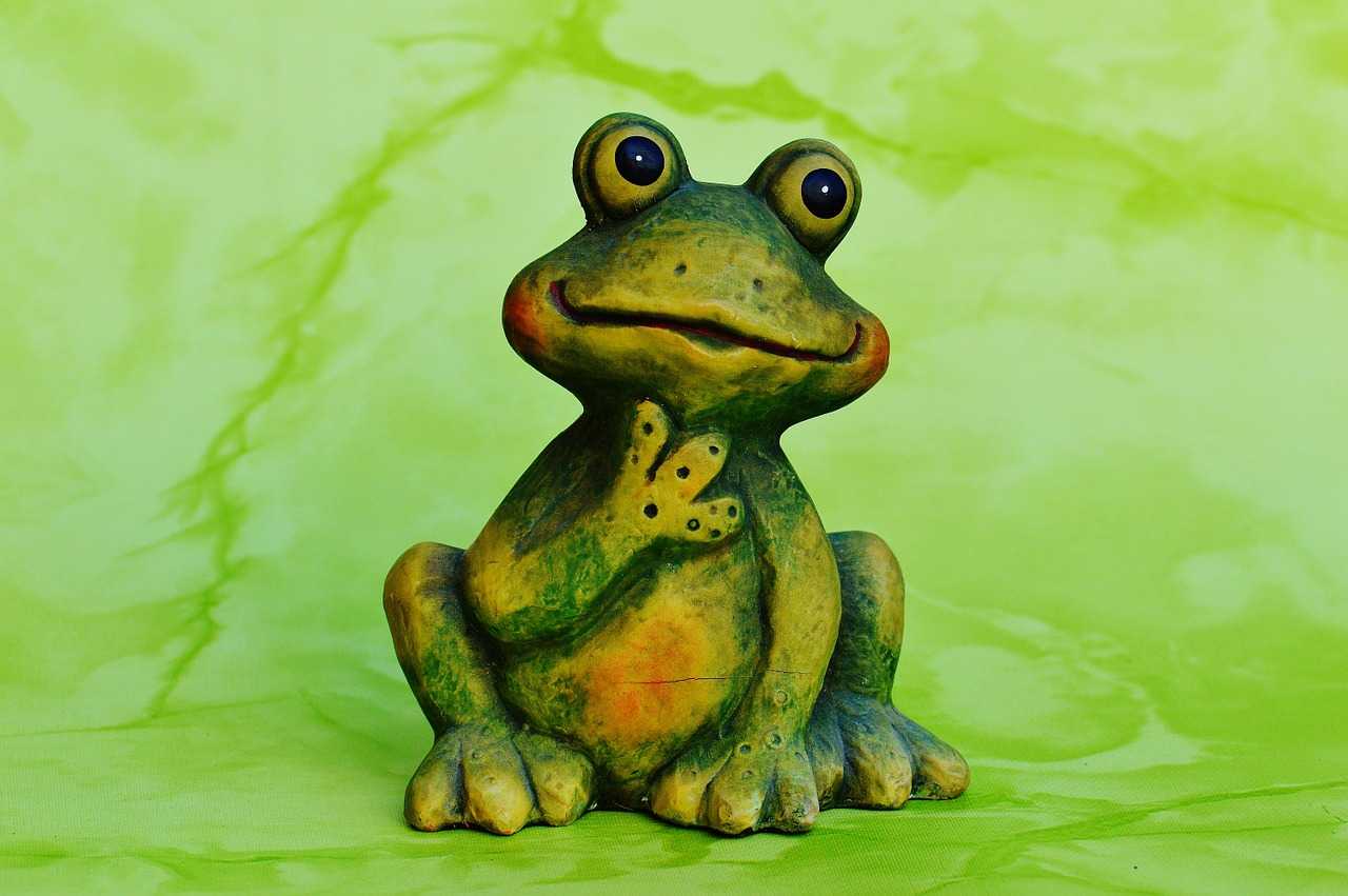 Зелёная квакушка – мокрая лягушка. загадки про лягушку для детей