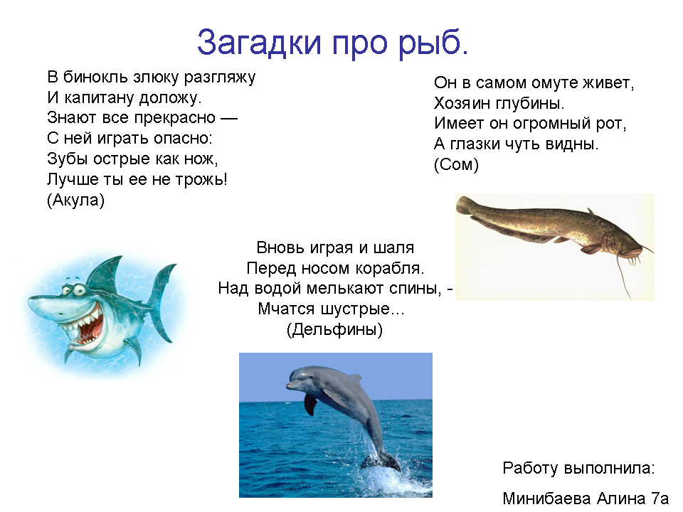 Стихи про рыб для детей 4-5-6 лет