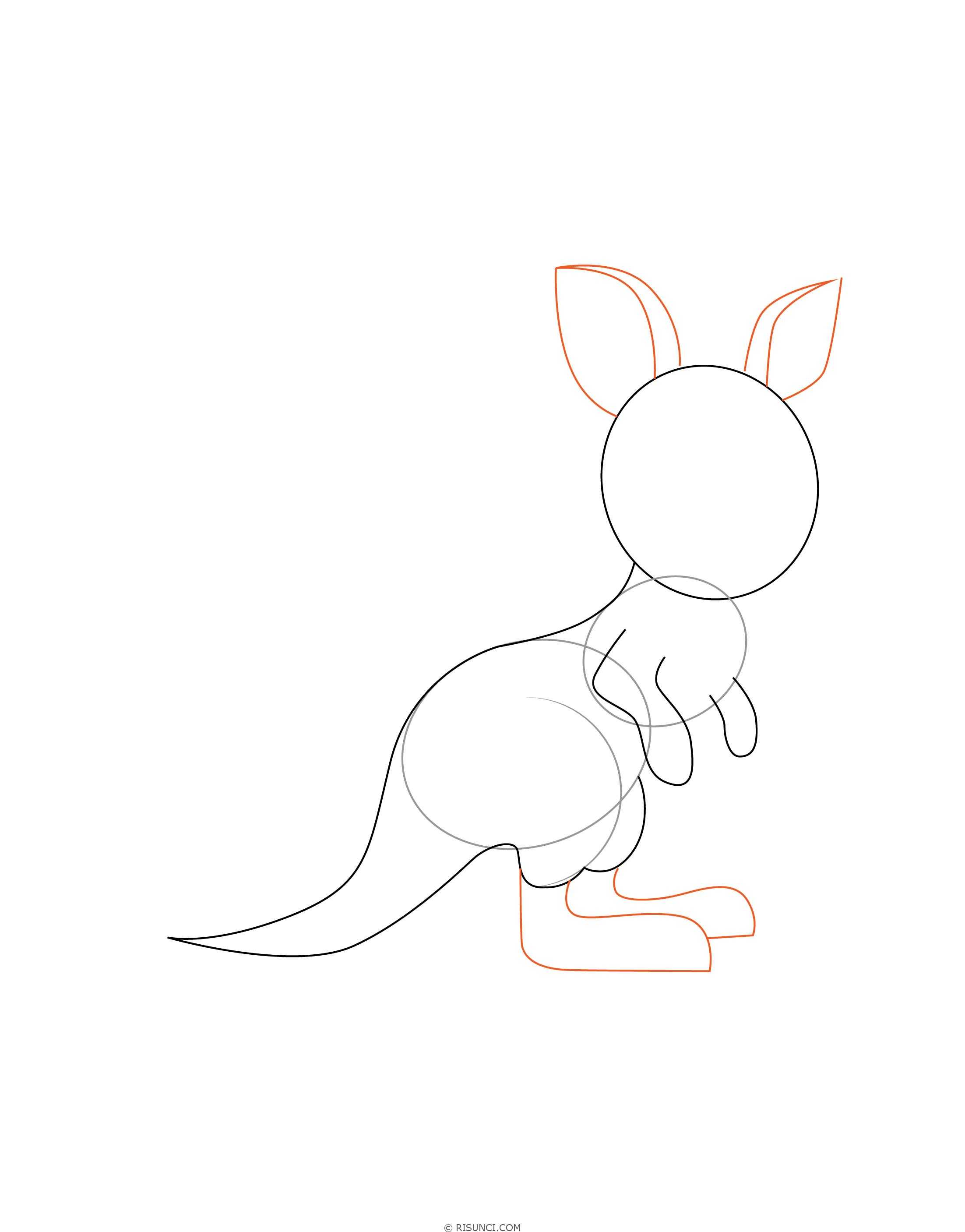 Нарисовать кенгуру поэтапно карандашом – как нарисовать кенгуру поэтапно? ✏ рисунки карандашом поэтапно