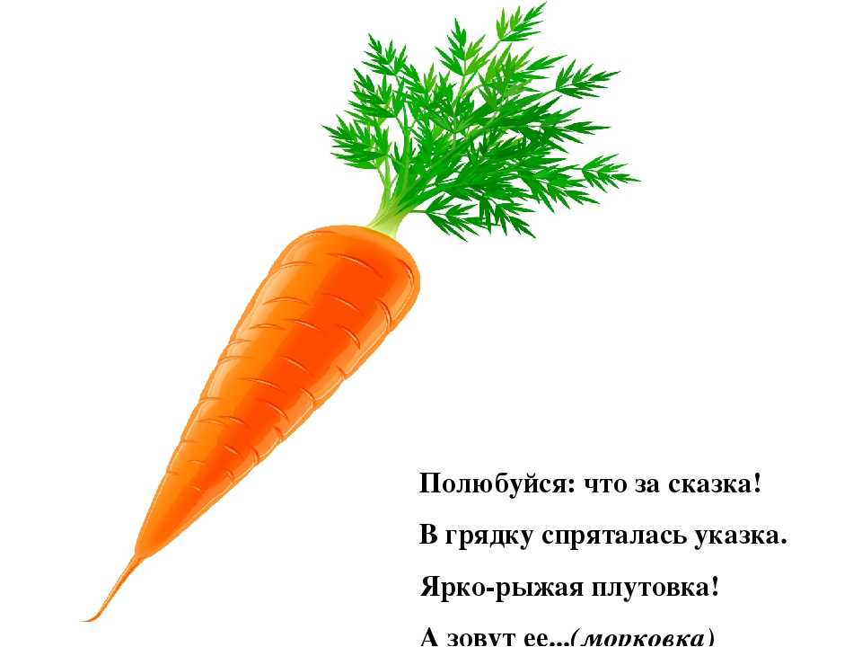 День моркови в детском саду. Загадка про морковку. Загадка про морковь для детей. Гадкая морковка. Загадка про морковку для дошкольников.