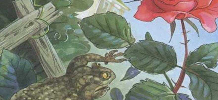Краткое содержание «сказка о жабе и розе» за 1,5 минуты