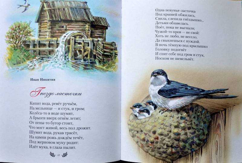Белорусские стихи про осень — подборка стихотворений на белорусском и русском языке для детей известных поэтов