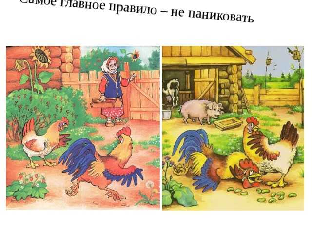 Петух и жерновцы — русская народная сказка. читать онлайн.