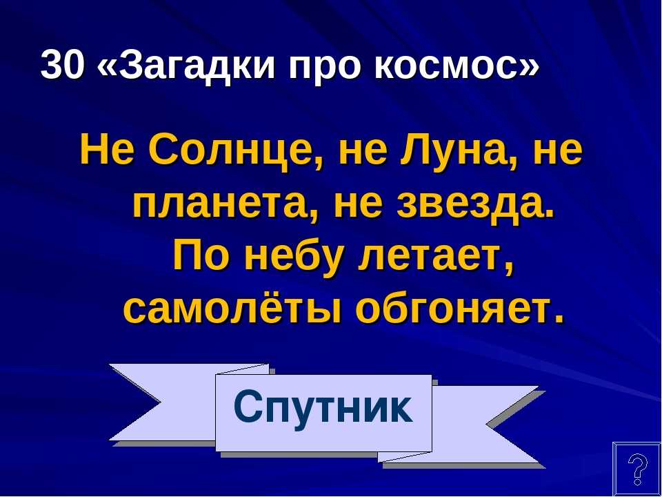 Загадки про дятла с ответами – 40 самых лучших загадок – ladyvi.ru
