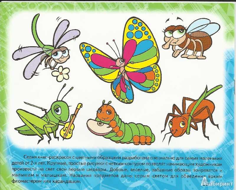 Загадки про насекомых для детей 6-7 лет с ответами
