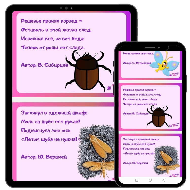 Загадки о насекомых с ответами