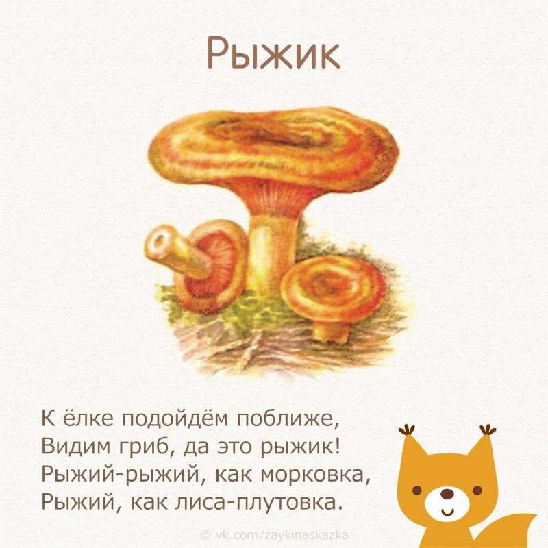 Стихи про грибы для детей книга (младшая, средняя, старшая группа) на тему