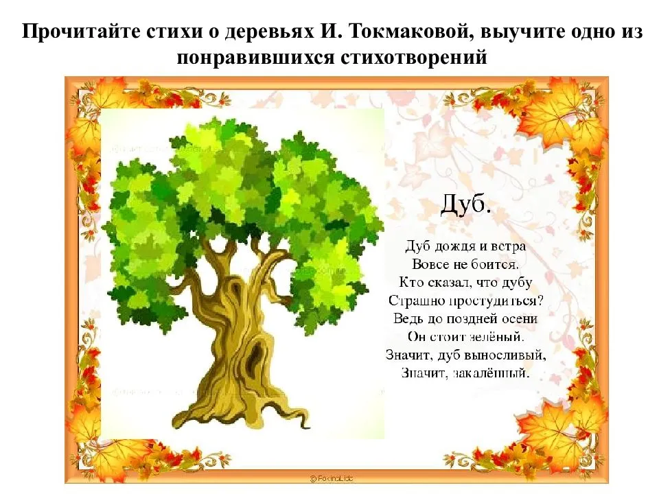 Стихи про деревья русских поэтов: красивые стихотворения для детей, школьников о деревьях - рустих