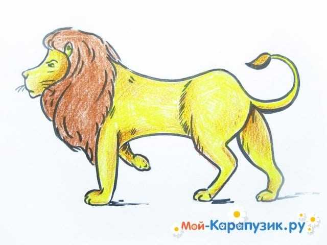 Иллюстрация к произведению лев и собачка. как нарисовать льва карандашом поэтапно. лев и собачка