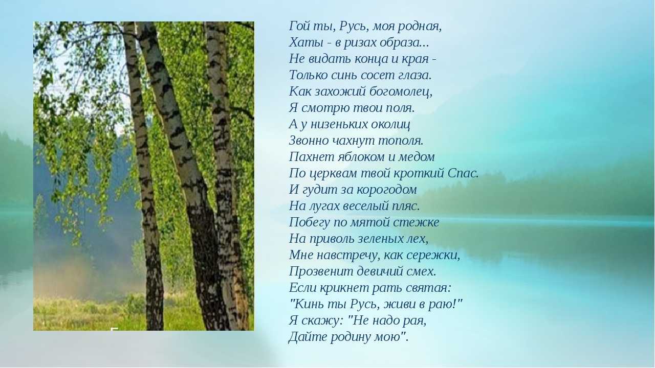 Стихи про природу беларуси - сборник красивых стихов в доме солнца
