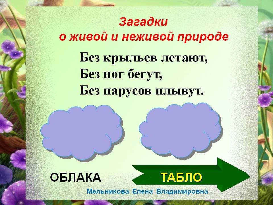 Презентация загадки о природе 3 класс с ответами