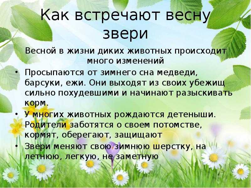 Презентация 1 класс животные весной