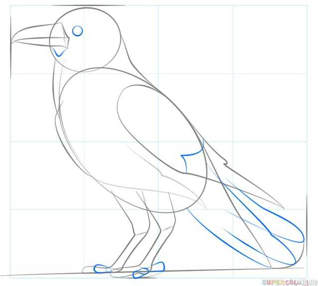 Как нарисовать ворону в полете и в полный рост: рисунок карандашом и красками с описанием