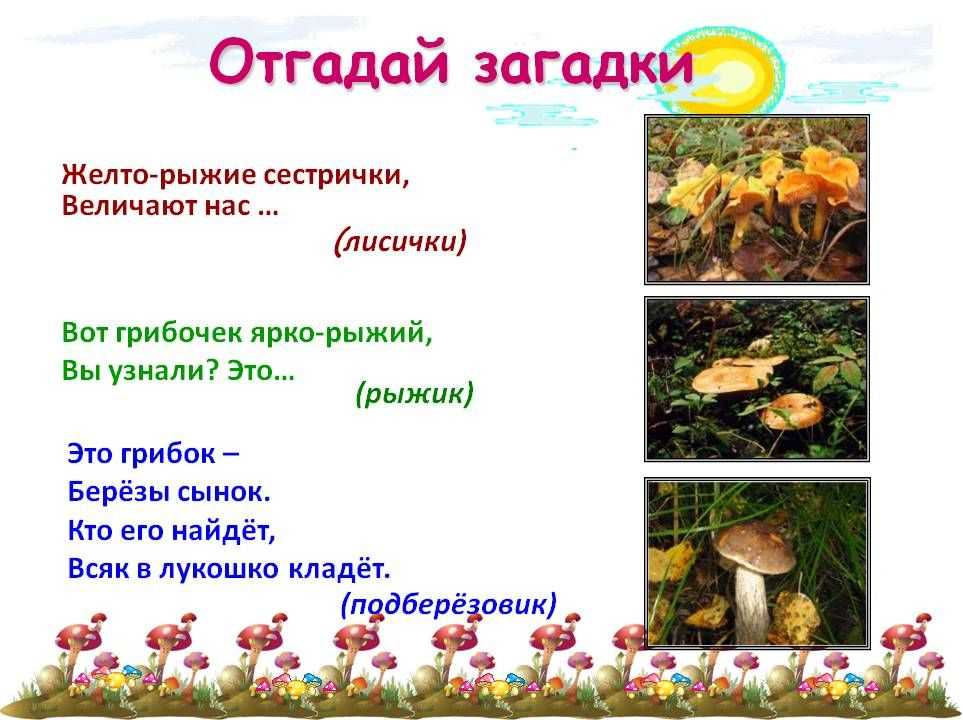 Стихи про грибы - короткие четверостишия для детей