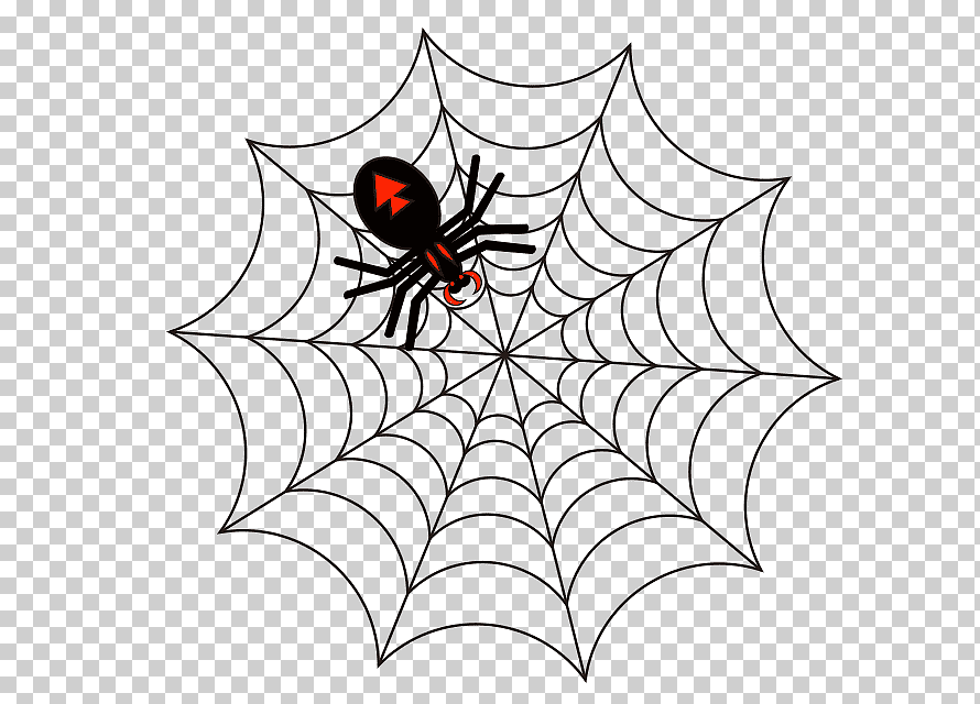 Загадки про паука и про паутину для детей