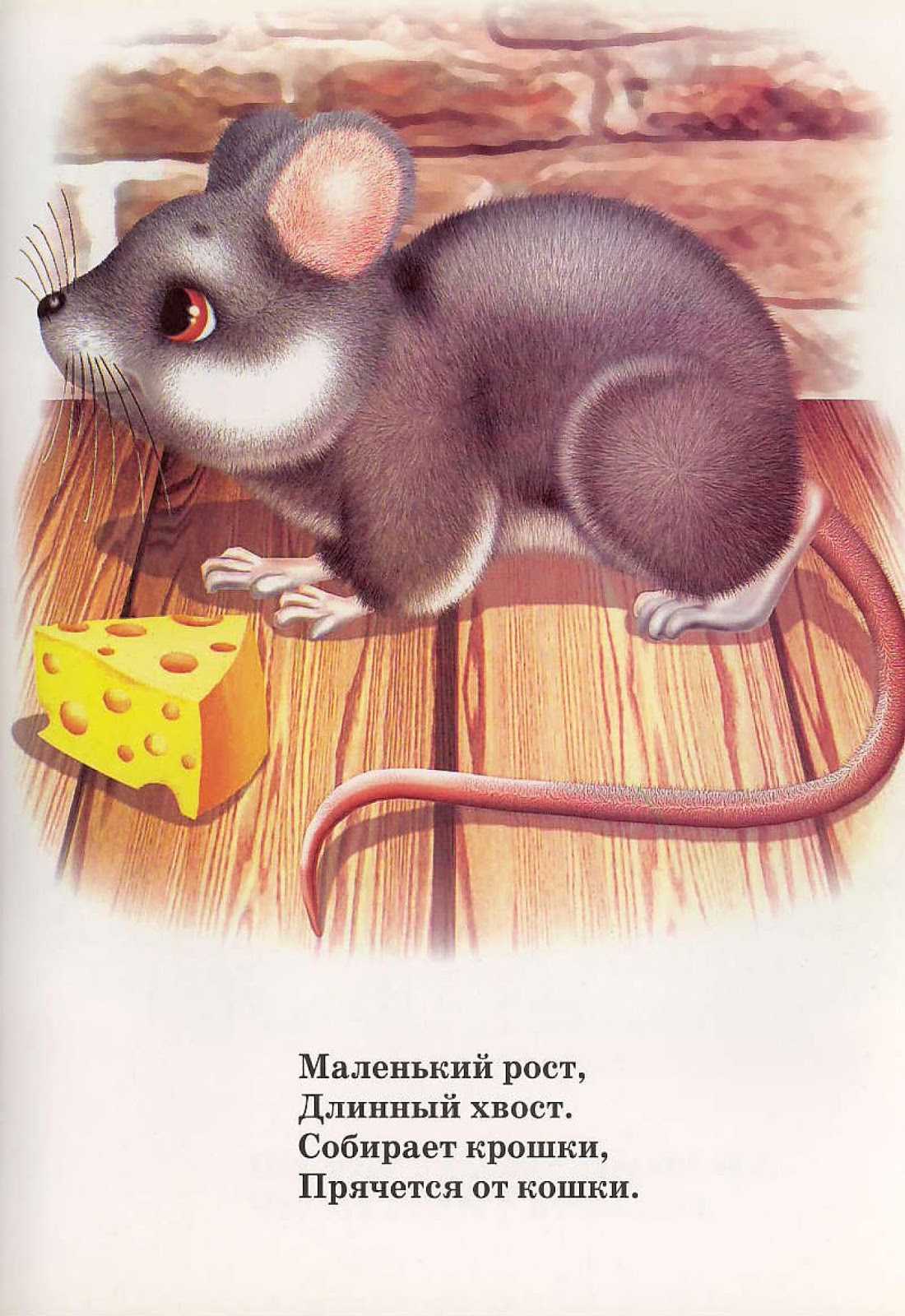 Стихотворение про мышку для детей