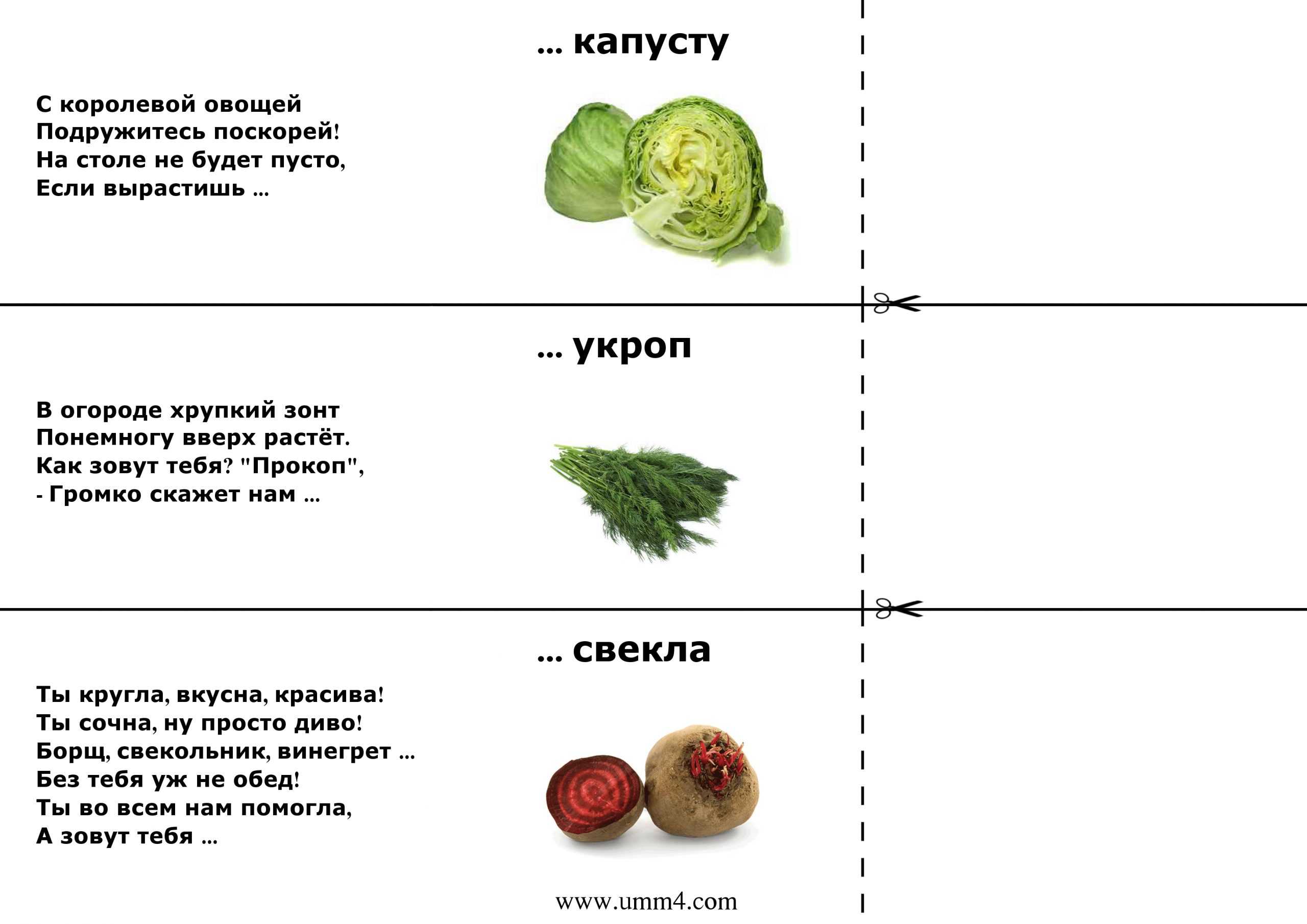 Загадки про овощи и фрукты с ответами