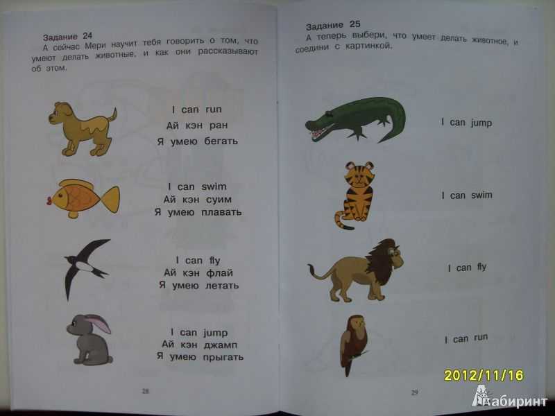 Загадки про животных на английском языке для детей: с переводом и ответами