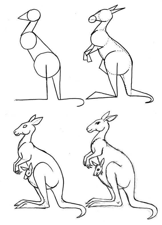 Как нарисовать кенгуру | рисунок кенгуру поэтапно карандашом