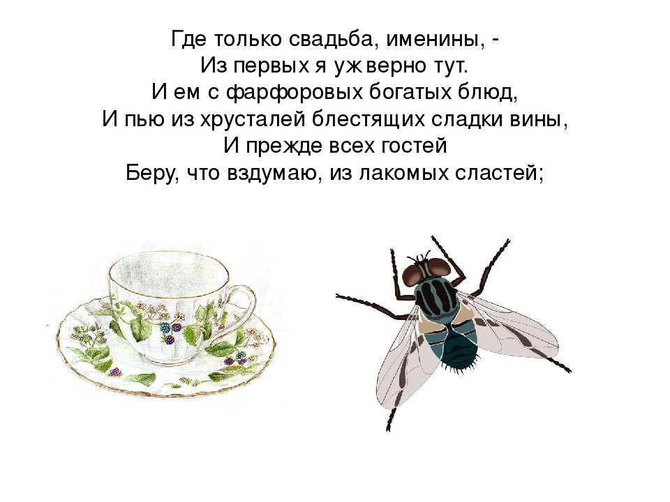 Притча про мух. Муха и пчела басня Крылова. Басня Муха и пчела Крылов. Басня Крылова про муху и пчелу. Пчелы и мухи Ушинский.