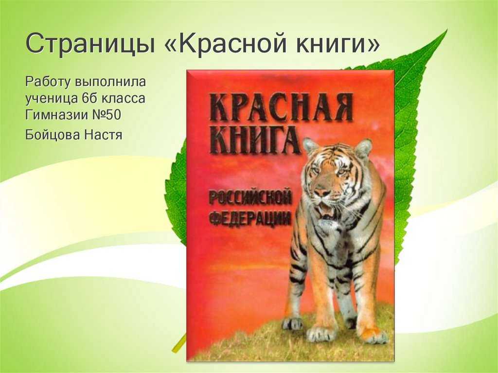 Доклад на тему животные красной книги сообщение