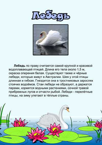 Андрей дементьев ~ лебединая верность (над землёй летели лебеди…)