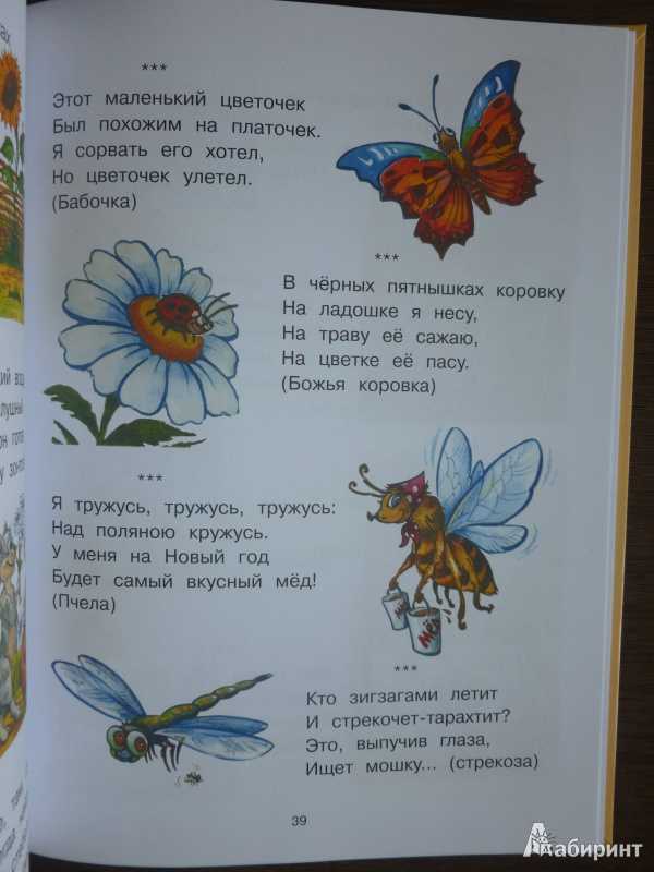 Загадки про бабочку для детей - познаем окружающий мир