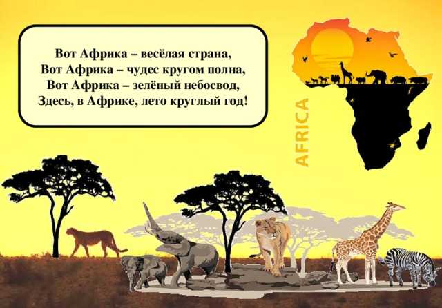 Загадки о диких животных африки. загадки, стихи, раскраски животные африки