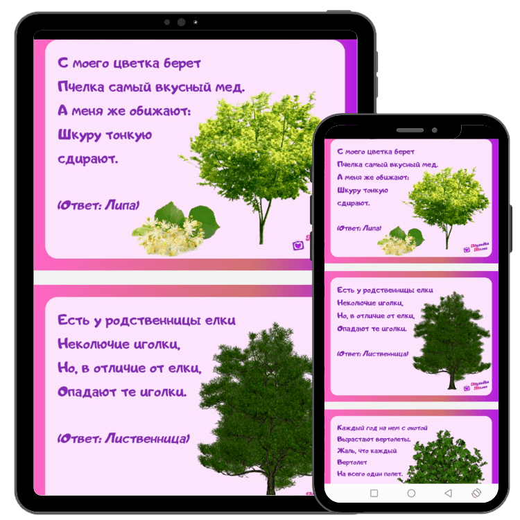 52 загадки про деревья: изучаем растения с детьми