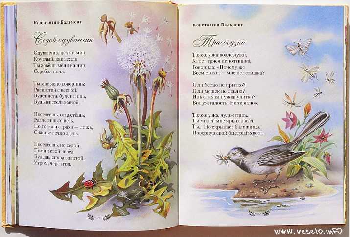 Стихи о животных для детей 5-6-7 лет в детском саду