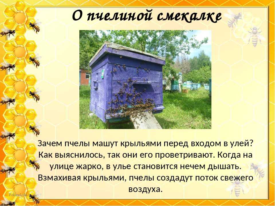 Загадки про чудеса для детей